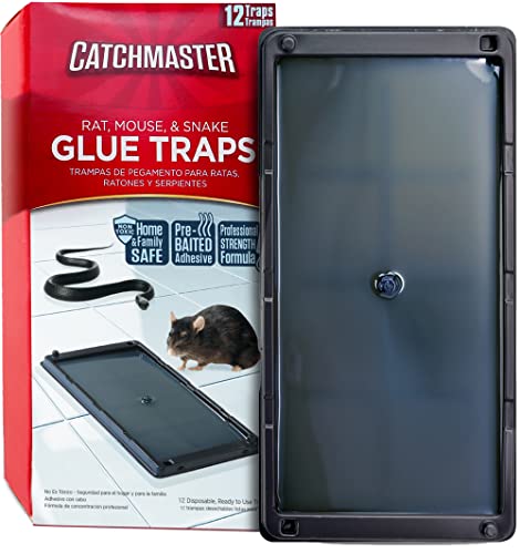 Baited Glue Traps by Catchmaster - 12 Pre-Baited Trays, Ready to Use Indoors. Rat Mouse Snake Exterminator Plastic Sticky Adhesive Easy No-Mess Simple Non-Toxic Disposable - Made in the USA