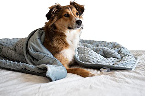 Nappy Puppy - Weighted Dog Blanket | Specially Designed for Anxious Dogs | Extra Comfortable | Premium Minky Fabric | Hypoallergenic Glass Beads| Gray | Small 2 lb