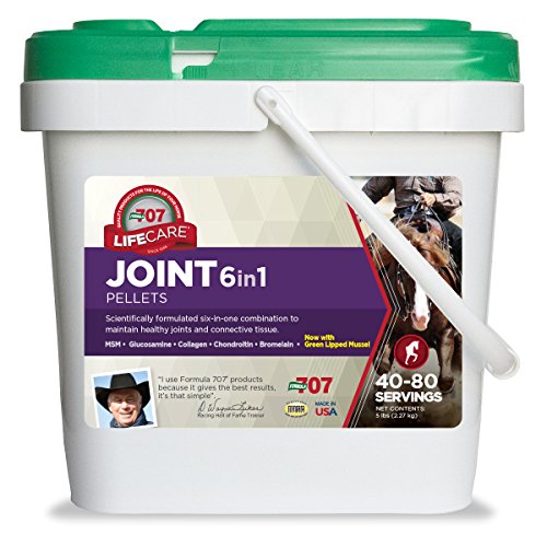 Formula 707 Joint 6in1 Equine Supplement 5 lb Bucket- Support for Joint Integrity and Inflammatory Response in Horses - Green-Lipped Mussel, MSM, Glucosamine, Chondroitin & Collagen