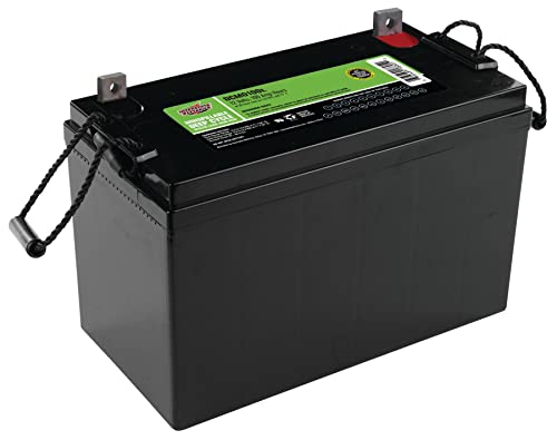 Interstate Batteries 12V 110Ah Group 29 Deep Cycle Battery (DCM0100L) SLA AGM Mobility Replacement Battery for Wheelchair's, RV's, Camper's, WKDC12-100P, DCS-100L, 12-100P (L Terminal)