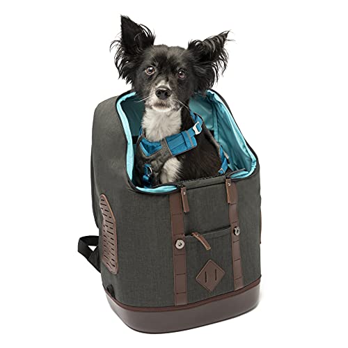 Kurgo K9 Rucksack, Dog Carrier Backpack for Small Pets, Waterproof Bottom, for Pets up to 11 kg