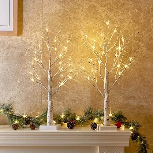 PEIDUO Mothers Day Decorations, 2PK Artificial Tree for Party Table Decoration, Battery Powered Gifts for Mothers Day with Timer, Lighted Birch Tree with LED Lights for Home Decor (2FT Warm White)