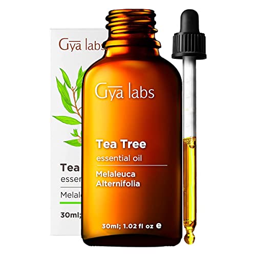 Gya Labs Australian Tea Tree Oil for Hair & Scalp - 100% Pure & Natural Therapeutic Tea Tree Oil for Face - Tea Tree Oil for Skin, Toenails & Piercings (1 Fl Oz)