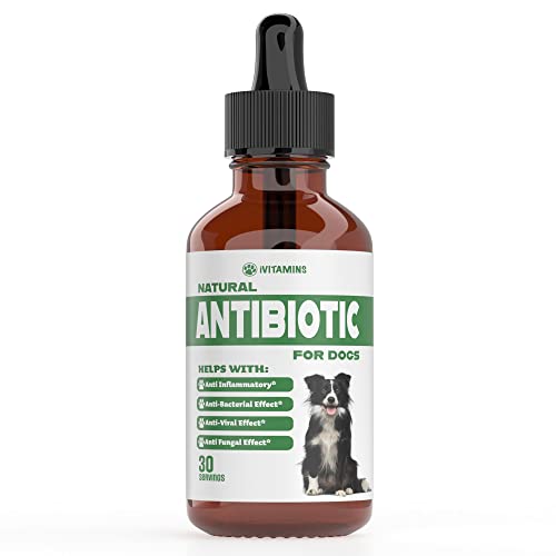 Natural Antibiotics for Dogs | Dog Antibiotics | Supports Dog Allergy Relief | Dog Itch Relief | Dog Allergy Support | Dog Multivitamin | Pet Antibiotics | Dog Antibiotic | 1 Pack: Bacon Flavor