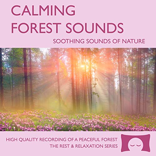 Calming Forest Sounds CD - Nature Sounds Recording - For Meditation, Relaxation and Creating a Soothing Atmosphere - Nature's Perfect White Noise -