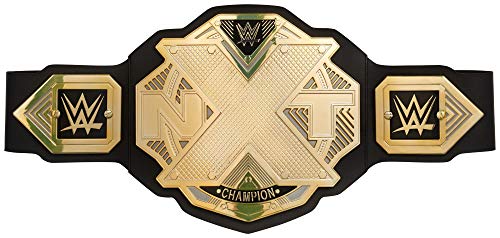 WWE New NXT Championship Title Belt, 96 months to 144 months