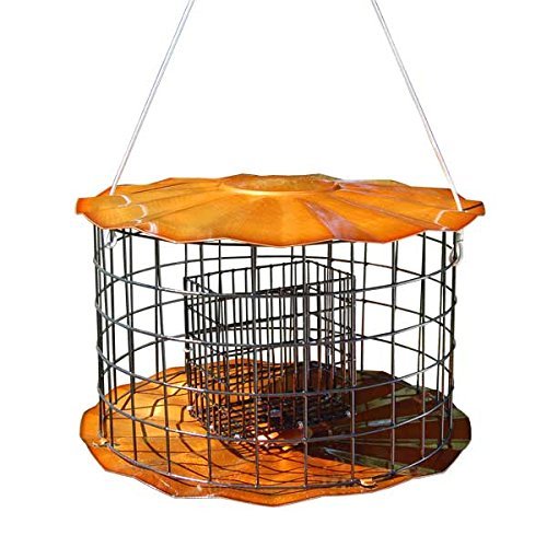 Erva Squirrel Proof Double Oversize Suet Cake Feeder-Copper Tint - Made in The USA