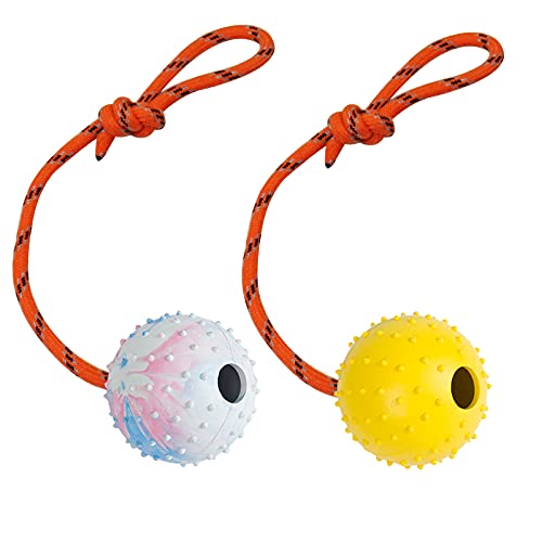 Nevperish 2 Pack Dog Ball, K9 Ball, Solid Rubber Ball on Rope for Reward, Fetch, Play (7cm)