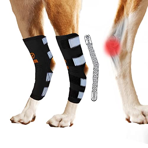 Dog Leg Brace for Back Rear Ankle Support, Dual Metal Spring Braces, Hook Joint Wrap Durable Soft Safety Reflective Strap Protects Wound Healing, Injuries, Sprains from Arthritis (Large)