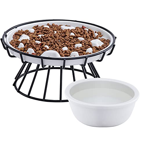 Elevated Slow Feeder Bowl for Cats and Small Dogs with Stand and Water Bowl, Ceramic Raised Cat Puzzle Food Plate, Healthy Eating Anti Vomiting Pet Feeding Dish, Against Bloat, Indigestion, White