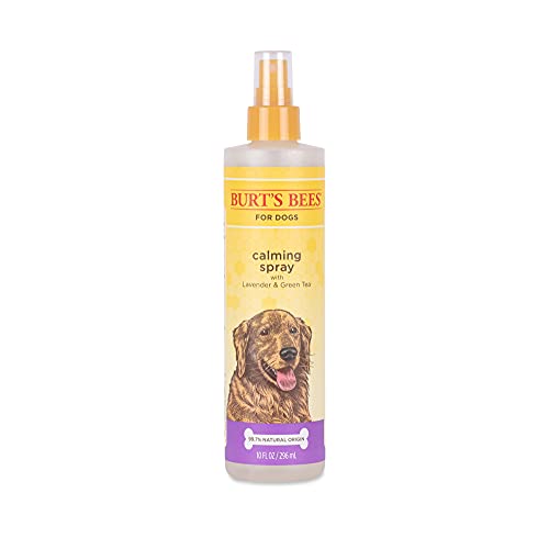 Burt's Bees for Dogs Calming Spray with Lavender and Green Tea, Natural Dog Spray for All Dogs to Calm and Soothe, 10 Fl Oz Dog Spray - Made in the USA