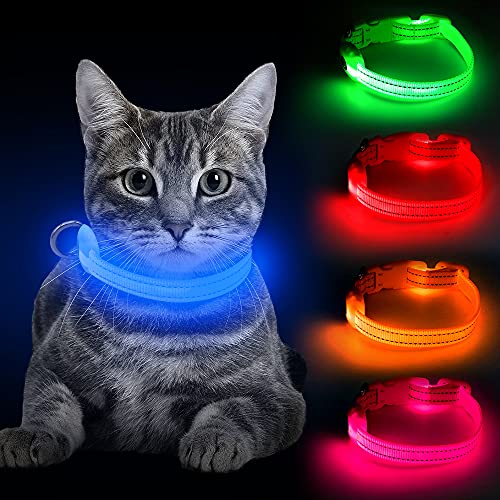 BSEEN Light Up Dog Collars - Rechargeable Glowing LED Dog Collar for Small Dogs & Cats, Lighted Puppy Collar for Night Walking (Blue)