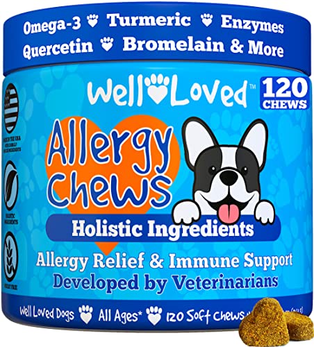 Well Loved Dog Allergy Chews - Dog Allergy Relief, Made in USA, Vet Developed, Hot Spot Treatment for Dogs, Dog Itch Relief, Anti Itch for Dogs, Dog Vitamins, Dog Skin Allergies Treatment, 120 Count