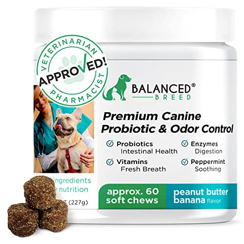 Balanced Breed Dog Probiotics Digestive Enzymes Pet Probiotics Dogs Digestive Health Dog Probiotics Yeast Itchy Skin Itchy Ears Dog Probiotic Supplements Dog Gut Health Dog Probiotics Diarrhea Relief