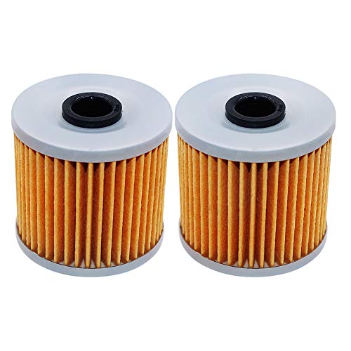 2 Pack Yerbay Motorcycle Oil Filter Compatible for Kawasaki KLR 650 KLR650 1987-2018 / KLR600 1984-1990 16099-004