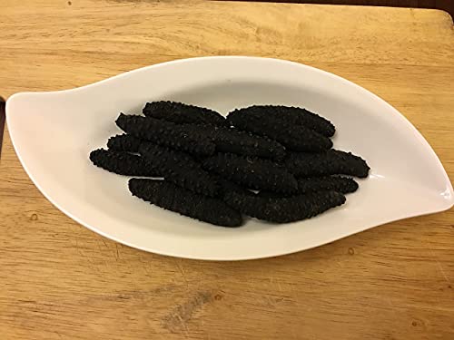 GOLDENSEA-Dried Wild Sea Cucumber, Black Pin Atlantic Sea Cucumber,- ,  (,Holothuria Mammata, Grade AAAA (Large Size) 1LB