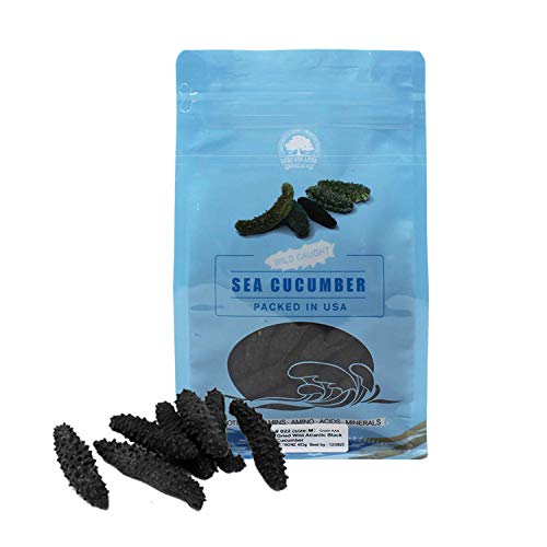 DOL Wild Caught,Sun Dried Atlantic Black Pin Sea Cucumber All Natural Nutritious,  (Medium 8oz/bag)