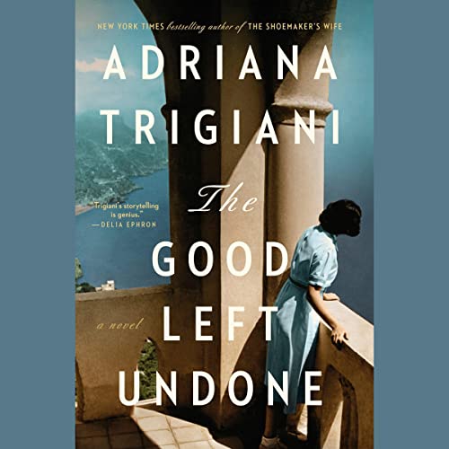 The Good Left Undone: A Novel