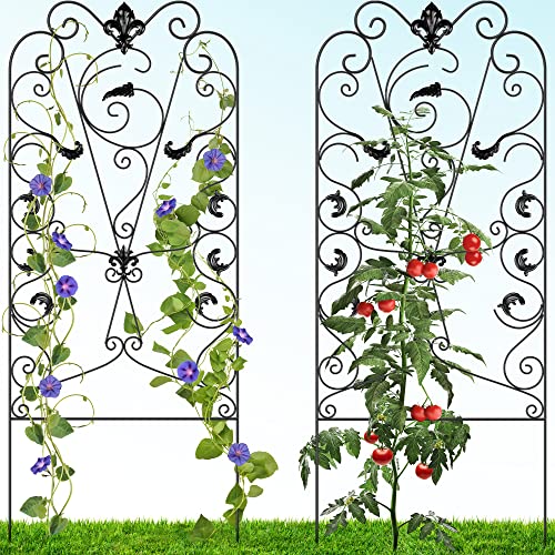 Garden Tall Trellis for Climbing Plants Outdoor - 2 Pack, 60" x 24" Climbing Plant Support, Rust Proof Plant Trellis, Rose Trellis, Tomato Trellis, Clematis Trellis - Classic Design