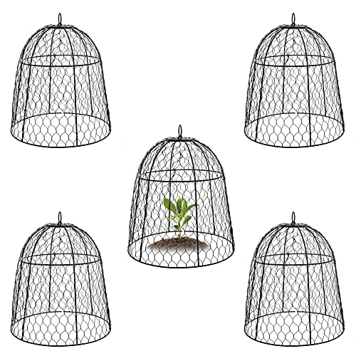 YLSAZL Garden Chicken Wire Cloche, Plant Protector and Cover,Protect Plants and Flowers from Being Eaten by Squirrels, Rabbits, Chickens, and Other Small Animals (5Pcs-Black)