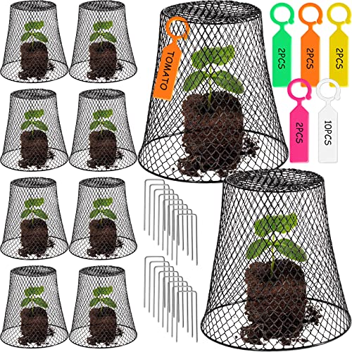 10 Pieces Chicken Wire Plant Covers Wire Garden Cloches Chicken Wire Cloche Plant Protector Metal Heavy Duty Garden Plant Cloche for Keeping Bunnies Chicken Squirrels Birds Other Out(99in)