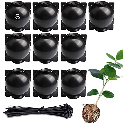 QHC KOCK 10 Pack Tree Root Growing Box, Rooting Ball Grafting Tools, Reusable High Pressure Tree Rooter Air Layering Propagation Kit Propagator Pot Rooting Device for Plant Cutting Seedlings