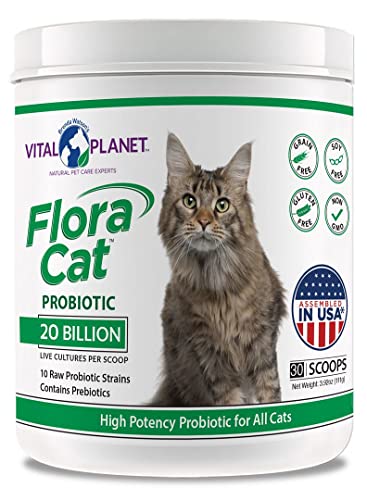 Vital Planet - Flora Cat Probiotic Powder Supplement with 20 Billion Cultures and 10 Diverse Strains High Potency Probiotics for All Cats for Feline Digestive and Immune Support 30 Scoops 3.92 oz