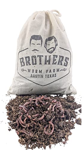 BROTHERS WORM FARM - 100 Live Red Wiggler Composting Worm Mix. Worms for Composting and Creating Worm Castings at Home. Ideal for Worm Composters, Gardens, and Worm Bins.