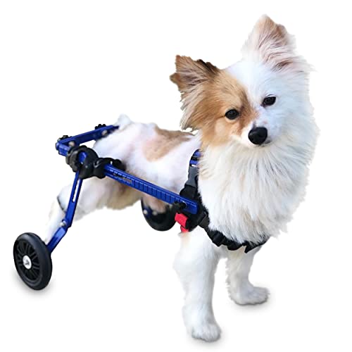 Walkin Wheels Mini Small Dog Wheelchair, Lightweight Dog Wheelchair for Back Legs, 5-10 lbs, for 7-10 inches Leg Height - Blue