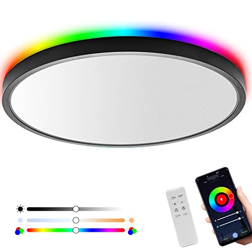 Roomratv 12Inch Smart Ceiling Light, Alexa Ceiling Light with Remote Control, RGB Color Changeable, Black Flush Mount Ceiling Light with App Control,20W+4W, Input 120V