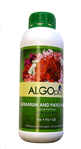 AlgoPlus Geranium and Patio Plant Liquid Fertilizer - 1 Liter