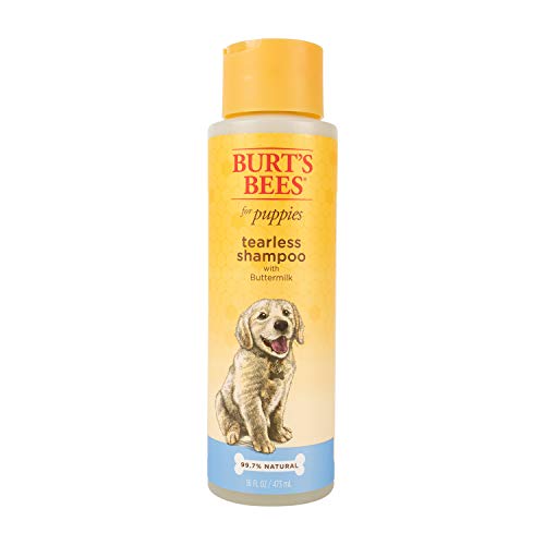 Burt's Bees for Dogs Natural Tearless Puppy Shampoo with Buttermilk | Shampoo for Dogs and Puppies | Puppy Shampoo Gentle on Skin and Fur | Cruelty, Sulfate & Paraben Free - Made in USA, 16 Ounces