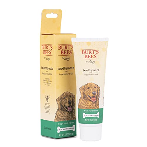 Burt's Bees for Dogs Toothpaste with Honeysuckle and Peppermint Oil, 2.5 oz in Fresh Mint Flavor | Dog Toothpaste Mint Flavor with 99.5% Natural Formula, Best Dog Toothpaste