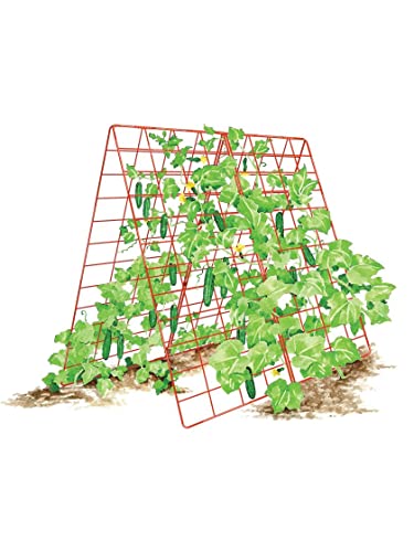 Gardeners Supply Company Deluxe Cucumber Trellis | Easy to Install Raised Garden Bed Cucumbers & Climbing Plants A-Frame Trellis | Outdoor Plant Support w/ 4" Grids for Easy Harvesting | 32"Wx46"H RED