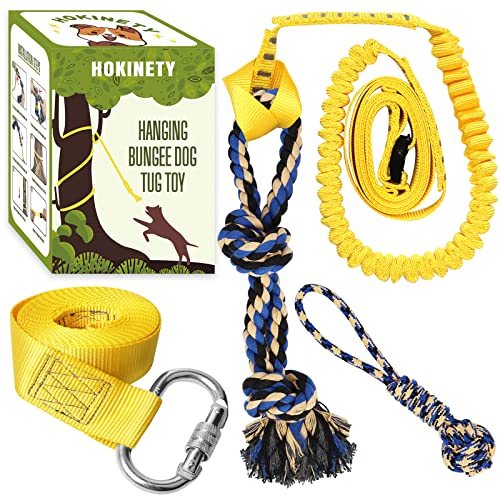 Dog Hanging Bungee Tug Toy: Interactive Tether Tug-of-War for Pitbull & Small to Large Dogs to Exercise and Fun Solo Play - Durable Retractable Tugger Dog Rope Toy with 2 Chew Rope Toys