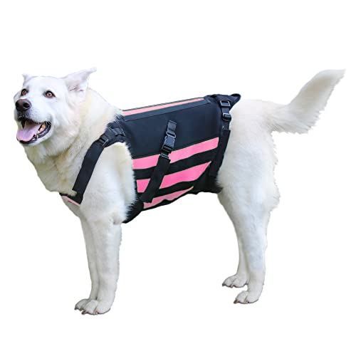 vertebraVe Dog Back Brace | Helps Dogs with Arthritis, Back Pain, Post Surgical Recovery and Rehabilitation | Medical Grade Memory Foam