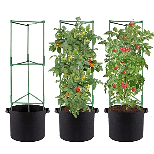 48" Tomato Planter with Trellis- 3 Packs Stable Assembled Plant Garden Cages with 10 Gallon Sturdy Grow Bags, Flowers Vegetable Trellis for Vertical Climbing Plants Vines