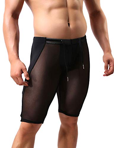 MIZOK Men's Sexy Mesh Short See Through Briefs 4/3 Underwear Pants (S,Black)