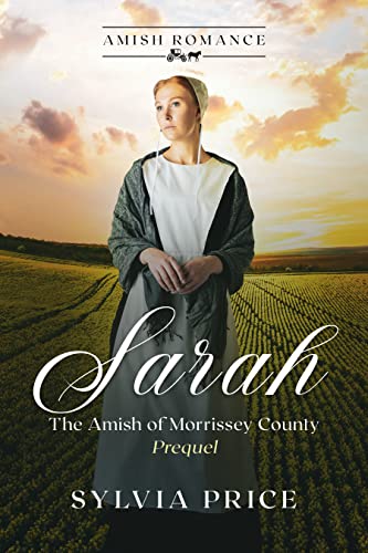 Sarah (The Amish of Morrissey County Prequel): An Amish Romance