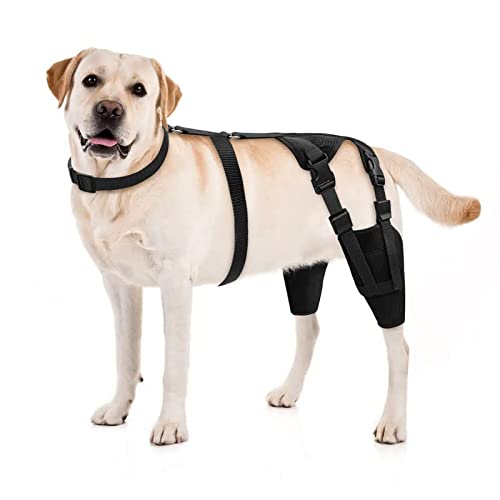 JUANWAN Dog Knee Brace Canine Leg Braces - Dog Knee Stifle Brace Wrap Strips Adjustable Dog Knee Brace for Torn ACL Hind Leg Joint Pain Muscle Sore Pet Brace Reduces Pain and Inflammation (XL)