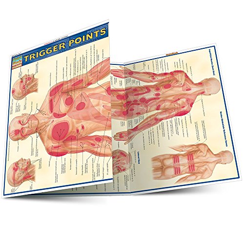 Trigger Points (Quick Study Academic)