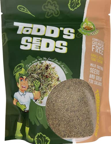 Todds Seeds - Alfalfa Sprouting Seeds - Easy to Grow Bulk Alfalfa Seeds - Fast Growing Seeds with High Sprout Germination (1/4 Pound)