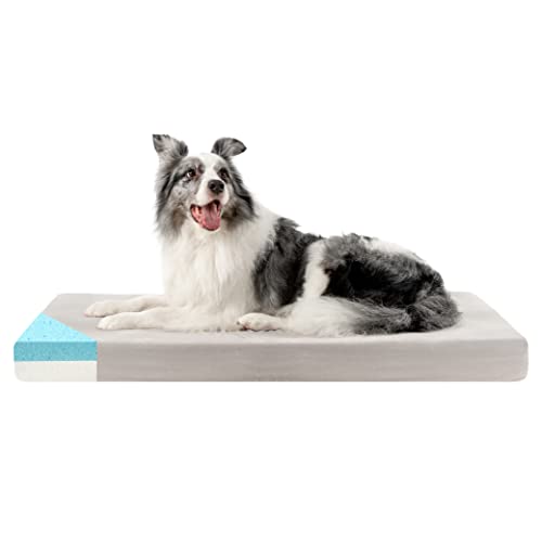 Memory Foam Dog Bed (High Density) - Orthopedic Dog Bed Insert for Large Dogs and Small, Medium, Extra Large Dogs - 5 Bed Sizes from Puppy to 100lbs Dog - Temperature Regulating Cooling Bed - L