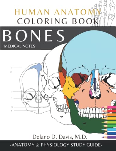 Human Anatomy Coloring Book: Bones. Medical Notes | Detailed illustrations | Learn the Skeletal System: Anatomy and Physiology Coloring Workbook with ... Nurses, Doctor and all lovers of Anatomy
