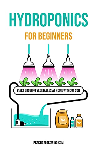 Hydroponics for Beginners: Start Growing Vegetables at Home Without Soil