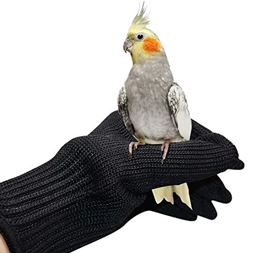 Bird Training Anti-Bite Gloves Pet Parrot Chewing Protective Handling Gloves Chewing Protective Steel Wire Gloves for Conures Cockatiels Parrotlets Finch Macaw