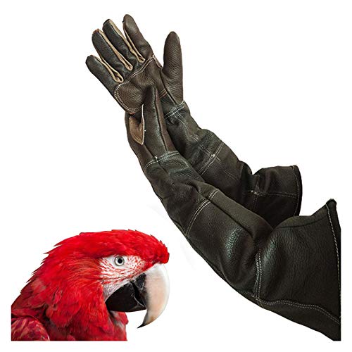 JIE KE Animal Handling Gloves Parrot Anti-bite Gloves Treatment Anti-Bite Scratch Gloves for Macaw Grey Parrot Sun Parakeet Protection Safety Work Gloves Reusable