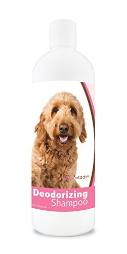 Healthy Breeds Goldendoodle Deodorizing Shampoo 16 oz