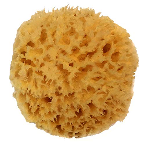 Natural Sea Wool Sponge 4-5" by Spa Destinations  Amazing Natural Renewable Resource"Creating The in Perfect Bath and Shower Experience"