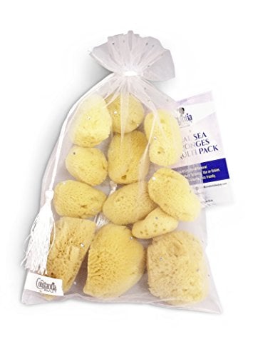 Natural Sea Silk Sponges 12pk: Size 1.5"-3" like Cotton Balls, for Cosmetic Use, Makeup Application & Removal, Face & Eye Cleaning, with Luxury Gift Bag by Constantia Beauty